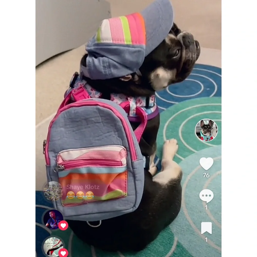 LIKE NEW Top Paw Denim Stripe Fabric Dog Hat and Backpack Set Size S/M